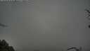 ./images/calvert/fitz-hugh-hecate/20250428/fitz-hugh-hecate20250428_094510M.jpg