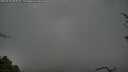 ./images/calvert/fitz-hugh-hecate/20250428/fitz-hugh-hecate20250428_095010M.jpg