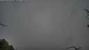 ./images/calvert/fitz-hugh-hecate/20250428/fitz-hugh-hecate20250428_095509M.jpg