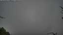 ./images/calvert/fitz-hugh-hecate/20250428/fitz-hugh-hecate20250428_100012M.jpg
