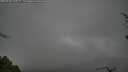./images/calvert/fitz-hugh-hecate/20250428/fitz-hugh-hecate20250428_100509M.jpg