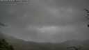 ./images/calvert/fitz-hugh-hecate/20250428/fitz-hugh-hecate20250428_101010M.jpg