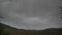 ./images/calvert/fitz-hugh-hecate/20250428/fitz-hugh-hecate20250428_101509M.jpg