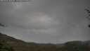 ./images/calvert/fitz-hugh-hecate/20250428/fitz-hugh-hecate20250428_102510M.jpg
