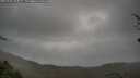 ./images/calvert/fitz-hugh-hecate/20250428/fitz-hugh-hecate20250428_103011M.jpg