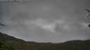 ./images/calvert/fitz-hugh-hecate/20250428/fitz-hugh-hecate20250428_103509M.jpg