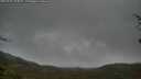 ./images/calvert/fitz-hugh-hecate/20250428/fitz-hugh-hecate20250428_104009M.jpg
