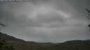 ./images/calvert/fitz-hugh-hecate/20250428/fitz-hugh-hecate20250428_104509M.jpg