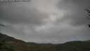 ./images/calvert/fitz-hugh-hecate/20250428/fitz-hugh-hecate20250428_105010M.jpg