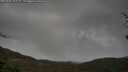 ./images/calvert/fitz-hugh-hecate/20250428/fitz-hugh-hecate20250428_105509M.jpg