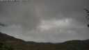./images/calvert/fitz-hugh-hecate/20250428/fitz-hugh-hecate20250428_110010M.jpg