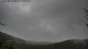./images/calvert/fitz-hugh-hecate/20250428/fitz-hugh-hecate20250428_110508M.jpg