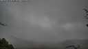 ./images/calvert/fitz-hugh-hecate/20250428/fitz-hugh-hecate20250428_111009M.jpg