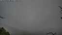 ./images/calvert/fitz-hugh-hecate/20250428/fitz-hugh-hecate20250428_111510M.jpg