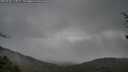 ./images/calvert/fitz-hugh-hecate/20250428/fitz-hugh-hecate20250428_112009M.jpg