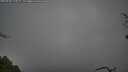 ./images/calvert/fitz-hugh-hecate/20250428/fitz-hugh-hecate20250428_112509M.jpg