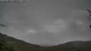 ./images/calvert/fitz-hugh-hecate/20250428/fitz-hugh-hecate20250428_113010M.jpg