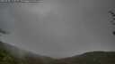 ./images/calvert/fitz-hugh-hecate/20250428/fitz-hugh-hecate20250428_113509M.jpg