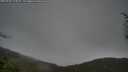./images/calvert/fitz-hugh-hecate/20250428/fitz-hugh-hecate20250428_114010M.jpg