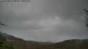./images/calvert/fitz-hugh-hecate/20250428/fitz-hugh-hecate20250428_114510M.jpg