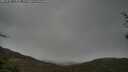 ./images/calvert/fitz-hugh-hecate/20250428/fitz-hugh-hecate20250428_115010M.jpg