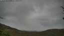 ./images/calvert/fitz-hugh-hecate/20250428/fitz-hugh-hecate20250428_115509M.jpg