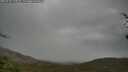 ./images/calvert/fitz-hugh-hecate/20250428/fitz-hugh-hecate20250428_120010M.jpg