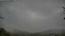 ./images/calvert/fitz-hugh-hecate/20250428/fitz-hugh-hecate20250428_120510M.jpg