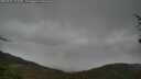 ./images/calvert/fitz-hugh-hecate/20250428/fitz-hugh-hecate20250428_121010M.jpg