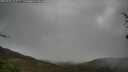 ./images/calvert/fitz-hugh-hecate/20250428/fitz-hugh-hecate20250428_121507M.jpg