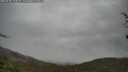 ./images/calvert/fitz-hugh-hecate/20250428/fitz-hugh-hecate20250428_122008M.jpg
