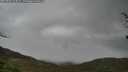 ./images/calvert/fitz-hugh-hecate/20250428/fitz-hugh-hecate20250428_123011M.jpg