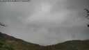 ./images/calvert/fitz-hugh-hecate/20250428/fitz-hugh-hecate20250428_123509M.jpg