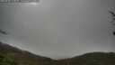 ./images/calvert/fitz-hugh-hecate/20250428/fitz-hugh-hecate20250428_124010M.jpg