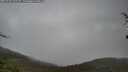 ./images/calvert/fitz-hugh-hecate/20250428/fitz-hugh-hecate20250428_125510M.jpg