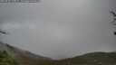 ./images/calvert/fitz-hugh-hecate/20250428/fitz-hugh-hecate20250428_130011M.jpg