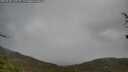 ./images/calvert/fitz-hugh-hecate/20250428/fitz-hugh-hecate20250428_130509M.jpg