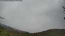 ./images/calvert/fitz-hugh-hecate/20250428/fitz-hugh-hecate20250428_131510M.jpg