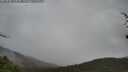 ./images/calvert/fitz-hugh-hecate/20250428/fitz-hugh-hecate20250428_133010M.jpg