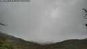 ./images/calvert/fitz-hugh-hecate/20250428/fitz-hugh-hecate20250428_133510M.jpg