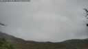 ./images/calvert/fitz-hugh-hecate/20250428/fitz-hugh-hecate20250428_134010M.jpg