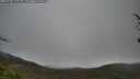./images/calvert/fitz-hugh-hecate/20250428/fitz-hugh-hecate20250428_135509M.jpg