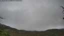 ./images/calvert/fitz-hugh-hecate/20250428/fitz-hugh-hecate20250428_140010M.jpg