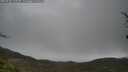 ./images/calvert/fitz-hugh-hecate/20250428/fitz-hugh-hecate20250428_140510M.jpg