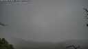 ./images/calvert/fitz-hugh-hecate/20250428/fitz-hugh-hecate20250428_141010M.jpg