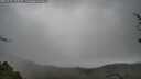 ./images/calvert/fitz-hugh-hecate/20250428/fitz-hugh-hecate20250428_142010M.jpg