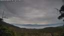 ./images/calvert/fitz-hugh-hecate/20250502/fitz-hugh-hecate20250502_085925M.jpg