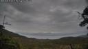 ./images/calvert/fitz-hugh-hecate/20250502/fitz-hugh-hecate20250502_091009M.jpg