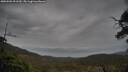 ./images/calvert/fitz-hugh-hecate/20250502/fitz-hugh-hecate20250502_091510M.jpg