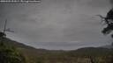 ./images/calvert/fitz-hugh-hecate/20250502/fitz-hugh-hecate20250502_092009M.jpg
